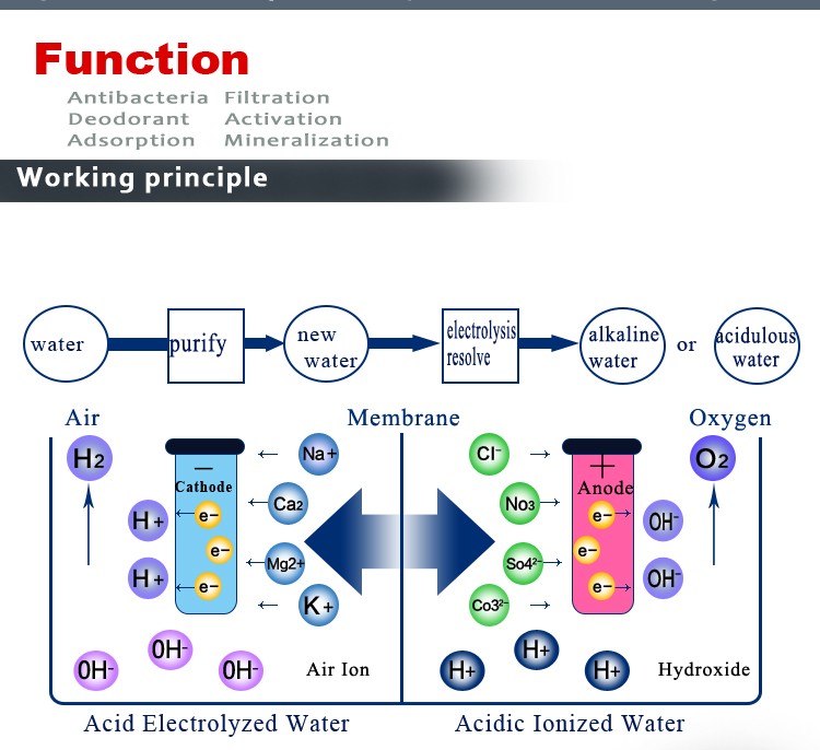 How to choose best PP filter? Amanda Water Tech Inc.