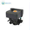 F63B1 Automatic Softener Valve 